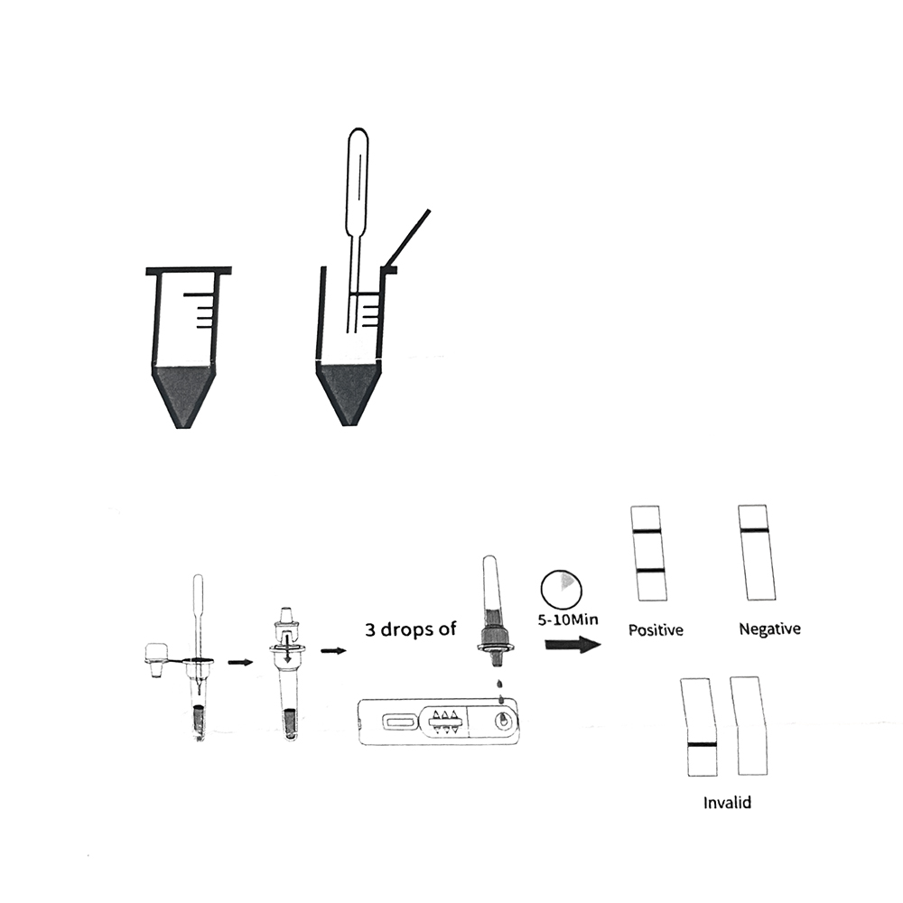 1set/5set Professional Pet Dog - Urine Analyzer Strip 评论和价格